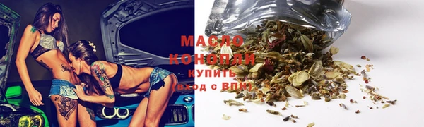 сатива Каменка