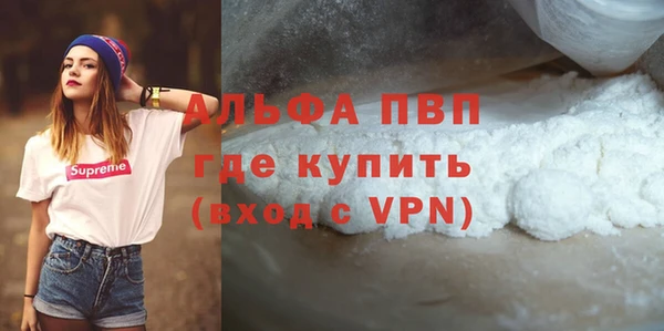 сатива Каменка