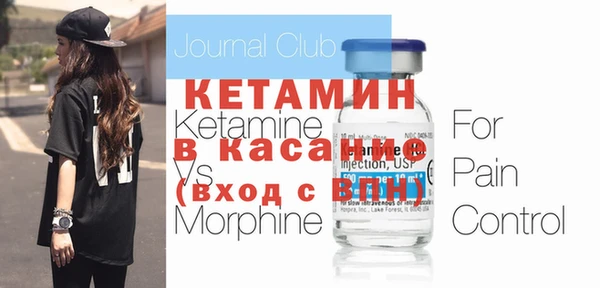 сатива Каменка