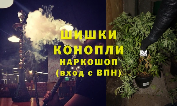 спайс Касимов