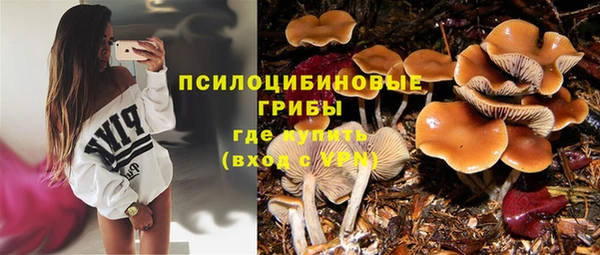сатива Каменка