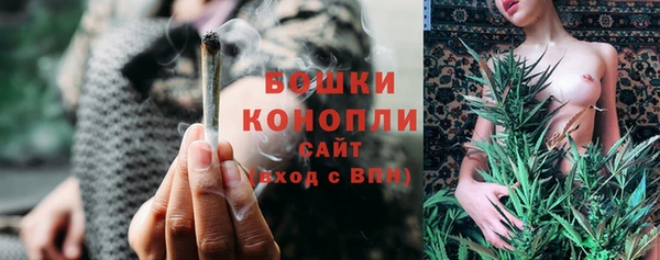 спайс Касимов