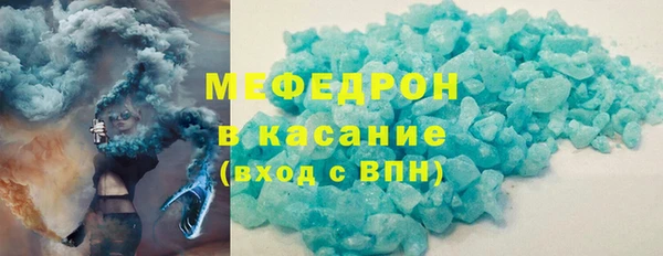 сатива Каменка
