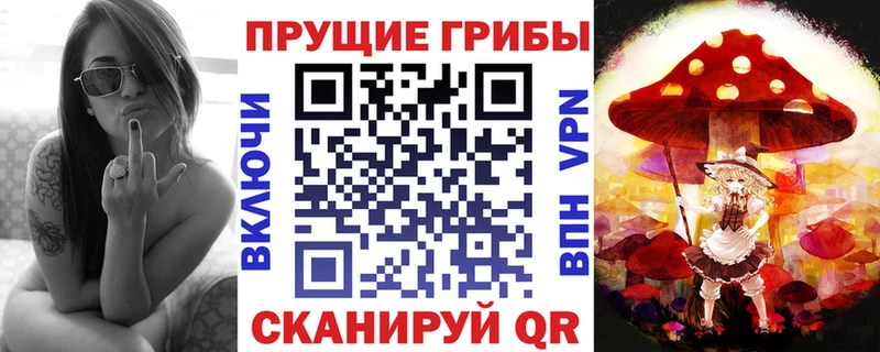 Псилоцибиновые грибы GOLDEN TEACHER Купить Наро-Фоминск